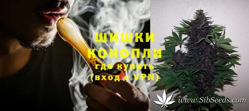 omg как войти  Дно  Марихуана White Widow 